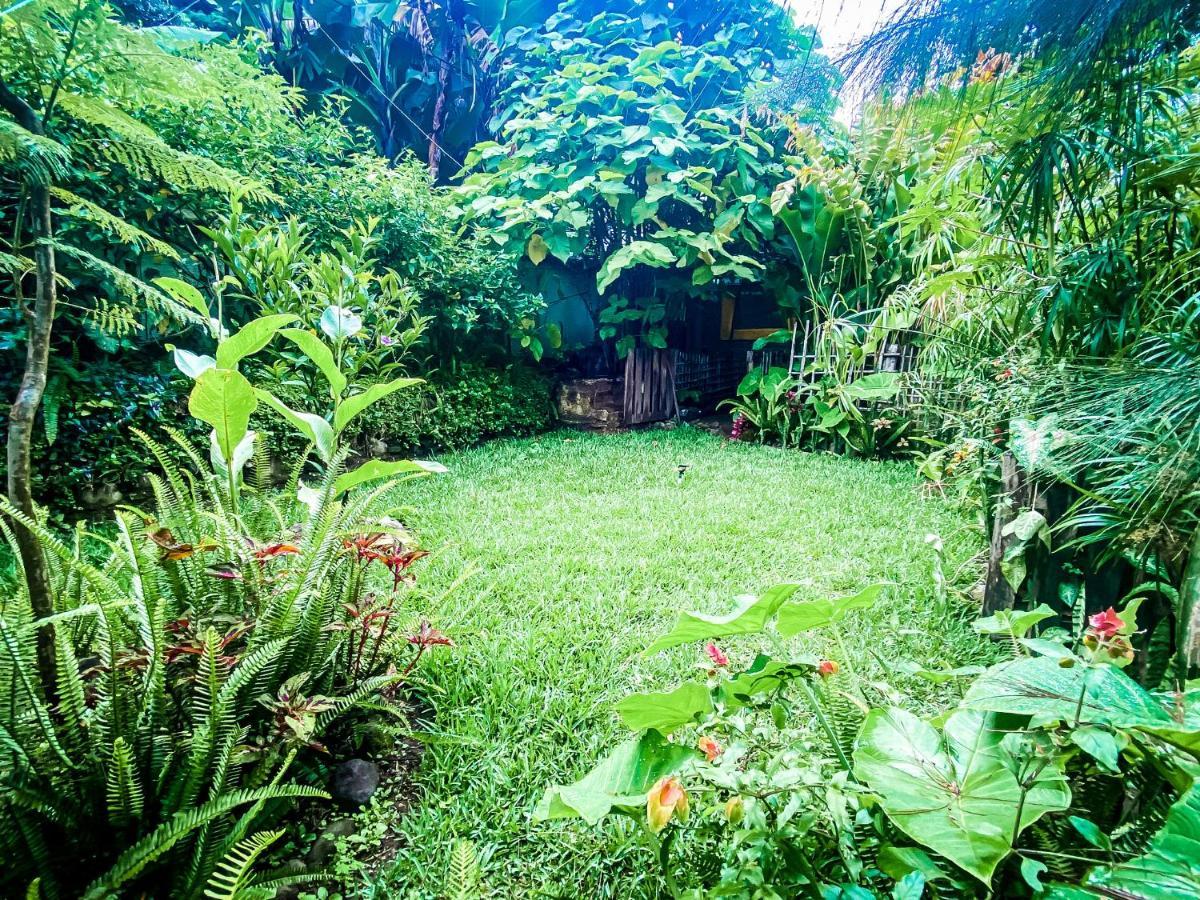 Unicorn Reborn - Peaceful Rentals San Marcos La Laguna Exteriér fotografie