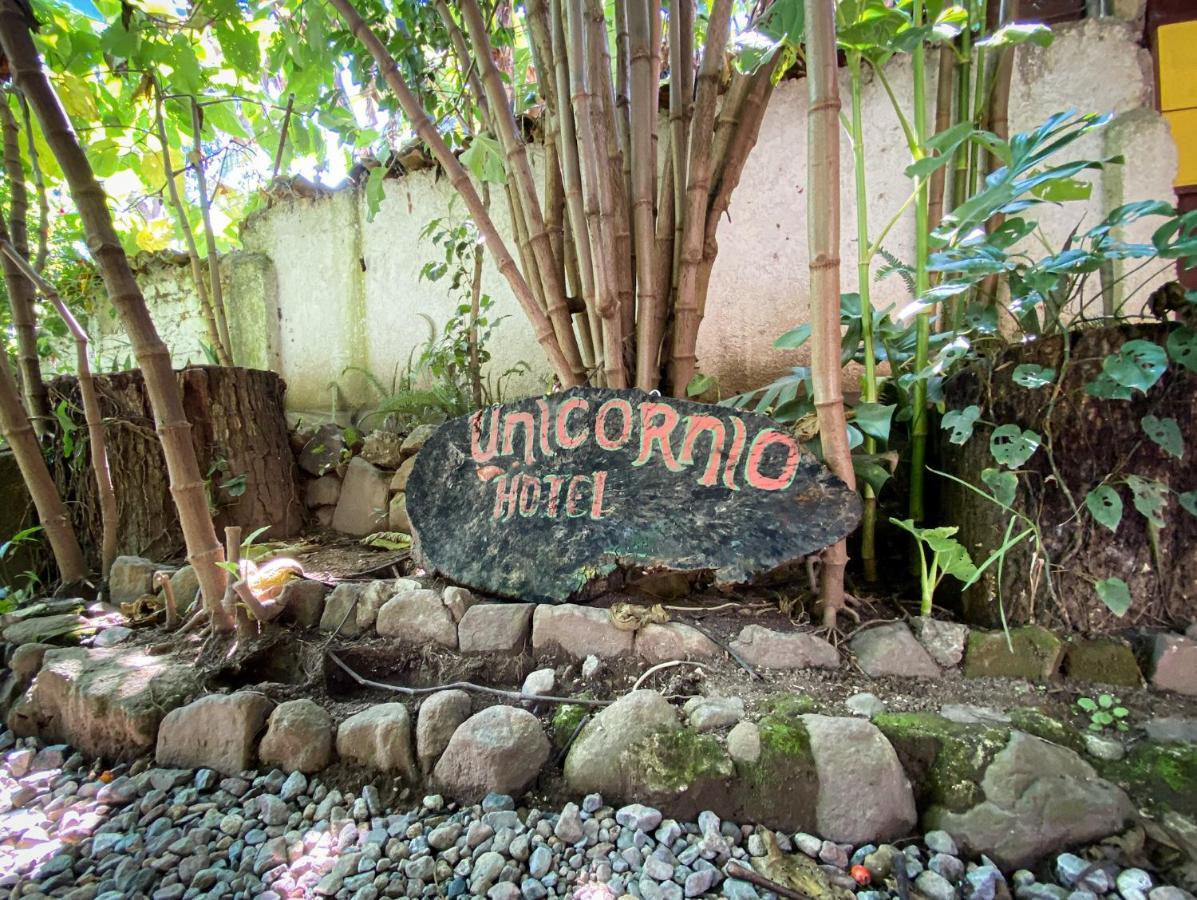 Unicorn Reborn - Peaceful Rentals San Marcos La Laguna Exteriér fotografie