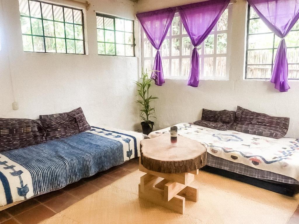 Unicorn Reborn - Peaceful Rentals San Marcos La Laguna Exteriér fotografie